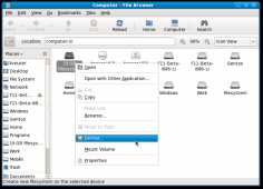 Linux操作系统 Fedora 11 Beta 最新截图赏析