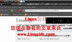 Ubuntu下Swiftfox中文界面的设置步骤[图文]