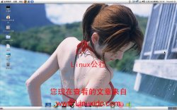 Ubuntu MAC OS 仿真桌面主题[图]