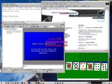 Linux下使用用Windows模拟器Wine 1.1.7 [图文]