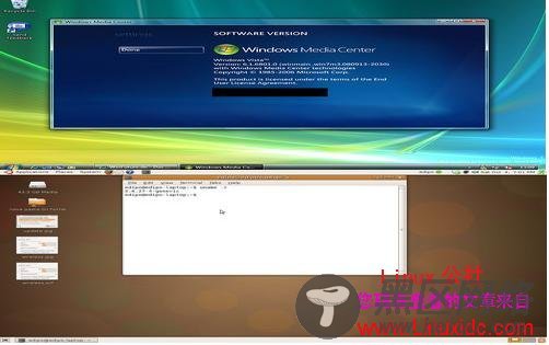 Ubuntu 8.10 VS Windows 7好戏连连