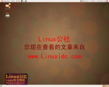 <strong>Ubuntu 8.10 Intrepid Ibex Beta版已释出[多图]</strong>