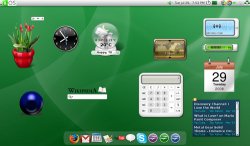 基于Ubuntu的gOS 3.0释出 引入Google Gadgets[多图]
