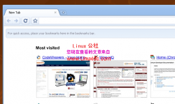 在Ubuntu中使用DEB包安装Google Chrome浏览器[图文]