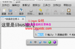 分享:Ubuntu可直接安装ibus输入法