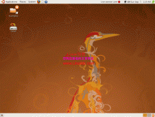 Ubuntu 8.10 Alpha 5已释出及安装运行截图