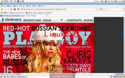 Ubuntu 8.04中用Firefox浏览器免费看花花公子杂志[多