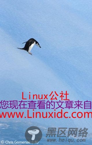 获奖的动物精灵 Linux代表企鹅上榜(图)