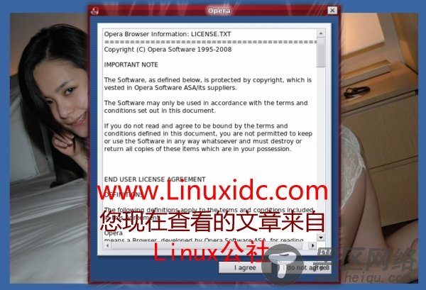 Ubuntu 8.04下Opera的安装及简体中文版的设置(图)