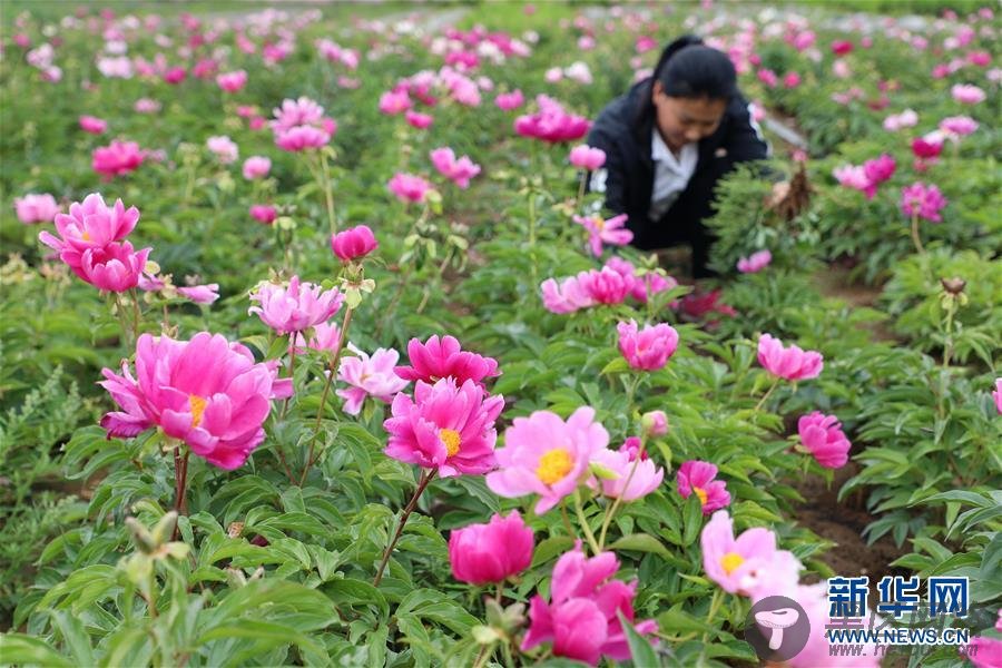 消防员救出5人后被热晕 敬业精神感动百万网友