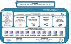 MySQL体系结构与参数文件及查询优化器详解