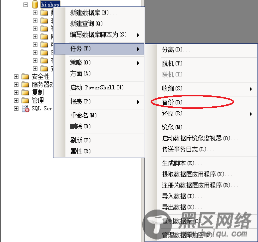 SQL Server搭建网站实例图文详解