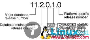 Oracle 118C 版本发布策略的变更