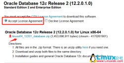 CentOS 6.9 下 Oracle Database 12c Release 2安装过程详解