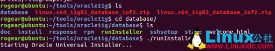 Ubuntu 16.04安装Oracle 11gR2入门教程图文详解