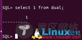 Ubuntu 16.04安装Oracle 11gR2入门教程图文详解