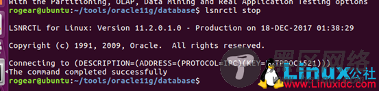 Ubuntu 16.04安装Oracle 11gR2入门教程图文详解