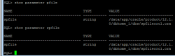 <strong>Oracle的参数文件：pfile和spfile</strong>