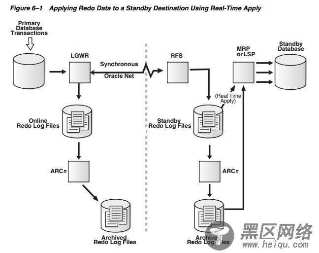 Oracle 10g Standby Database 实时应用 redo 数据