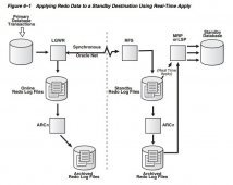 Oracle 10g Standby Database 实时应用 redo 数据