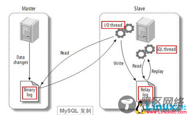 MySQL主从复制的搭建