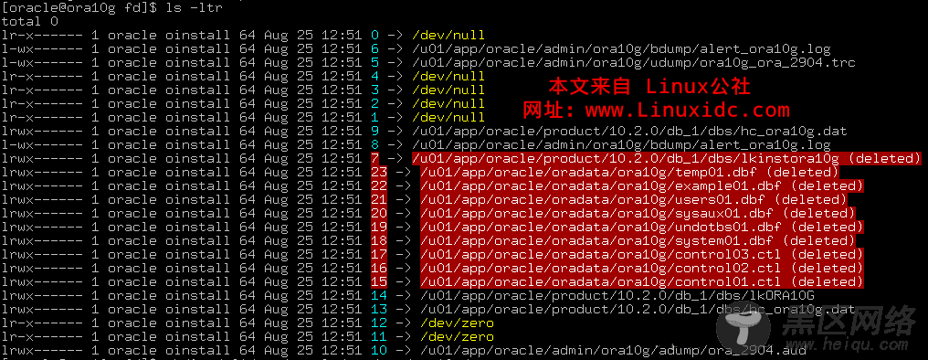 rm-rf 误操作的恢复过程