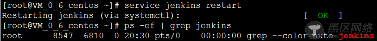 .NET Core微服务之基于Jenkins+Docker实现持续部署（