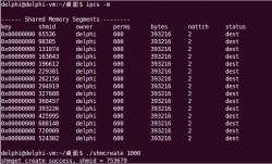 System V共享内存实例详解