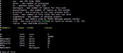 如何在 Linux 服务器上设置 ulimit 和文件描述符数