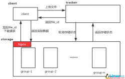 Docker来搭建分布式文件系统FastDFS