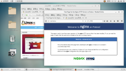 每个Linux用户必须知道的10个最常用的Nginx命令