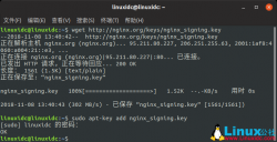 Ubuntu Server 18.04上构建支持TLS的Nginx