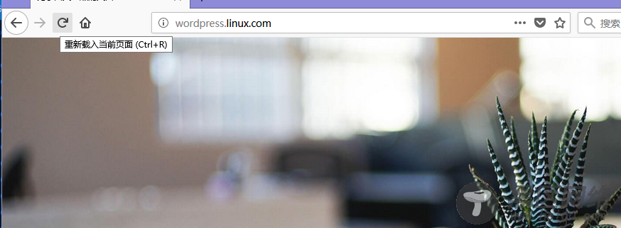 高性能Web服务器Nginx使用指南