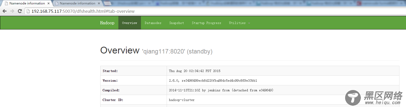 HDFS +Yarn集群部署方式