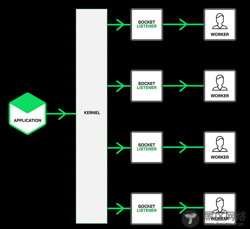 Nginx 1.9.1 中的 Socket 切分