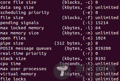 Linux下运行C++程序出现“段错误(核心已转储)”的