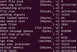 Linux下运行C++程序出现“段错误(核心已转储)”的