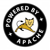 如何在 CentOS/RHEL 中为 Apache Tomcat 绑定 IPv4 地址