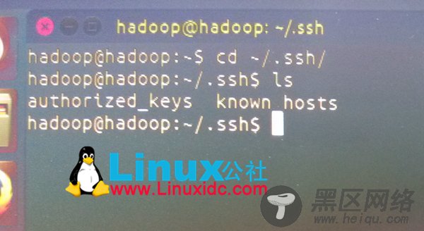 Hadoop主从节点之间建立SSH无密码登录