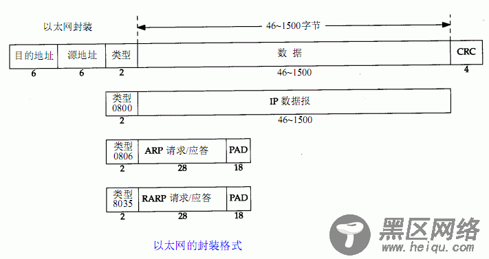 原始套接字实例：发送 UDP 数据包