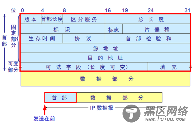 原始套接字实例：发送 UDP 数据包