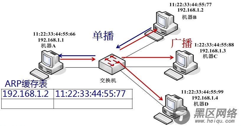 原始套接字实例：MAC 地址扫描器