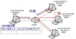 原始套接字实例：MAC 地址扫描器