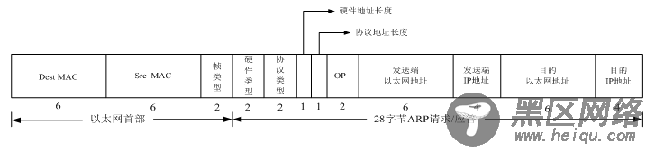 原始套接字实例：MAC 地址扫描器