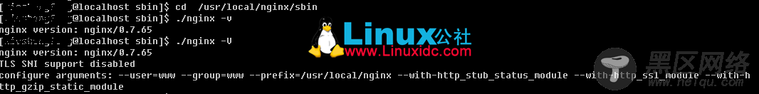 Linux下查看Nginx安装目录、版本号信息?