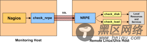 Nagios：企业级系统监控方案