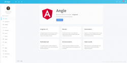 详解angularjs4部署文件过大解决过程