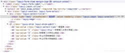 Layui 设置select下拉框自动选中某项的方法