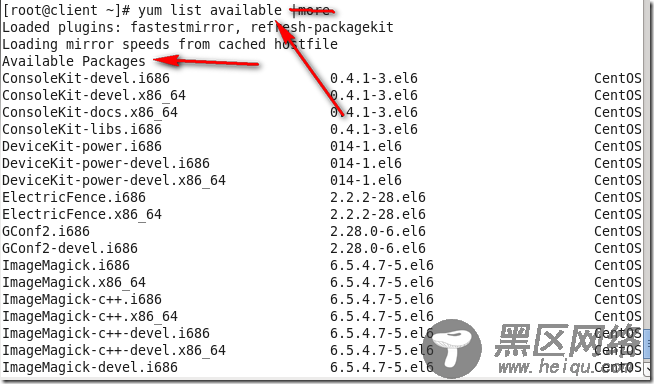 企业软件仓库部署及应用案例（基于CentOS 6的YUM源）