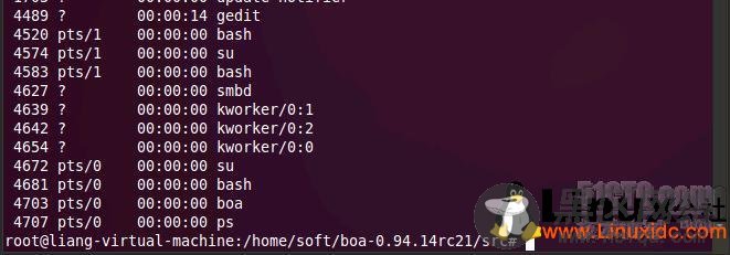 Ubuntu 配置 boa 服务器